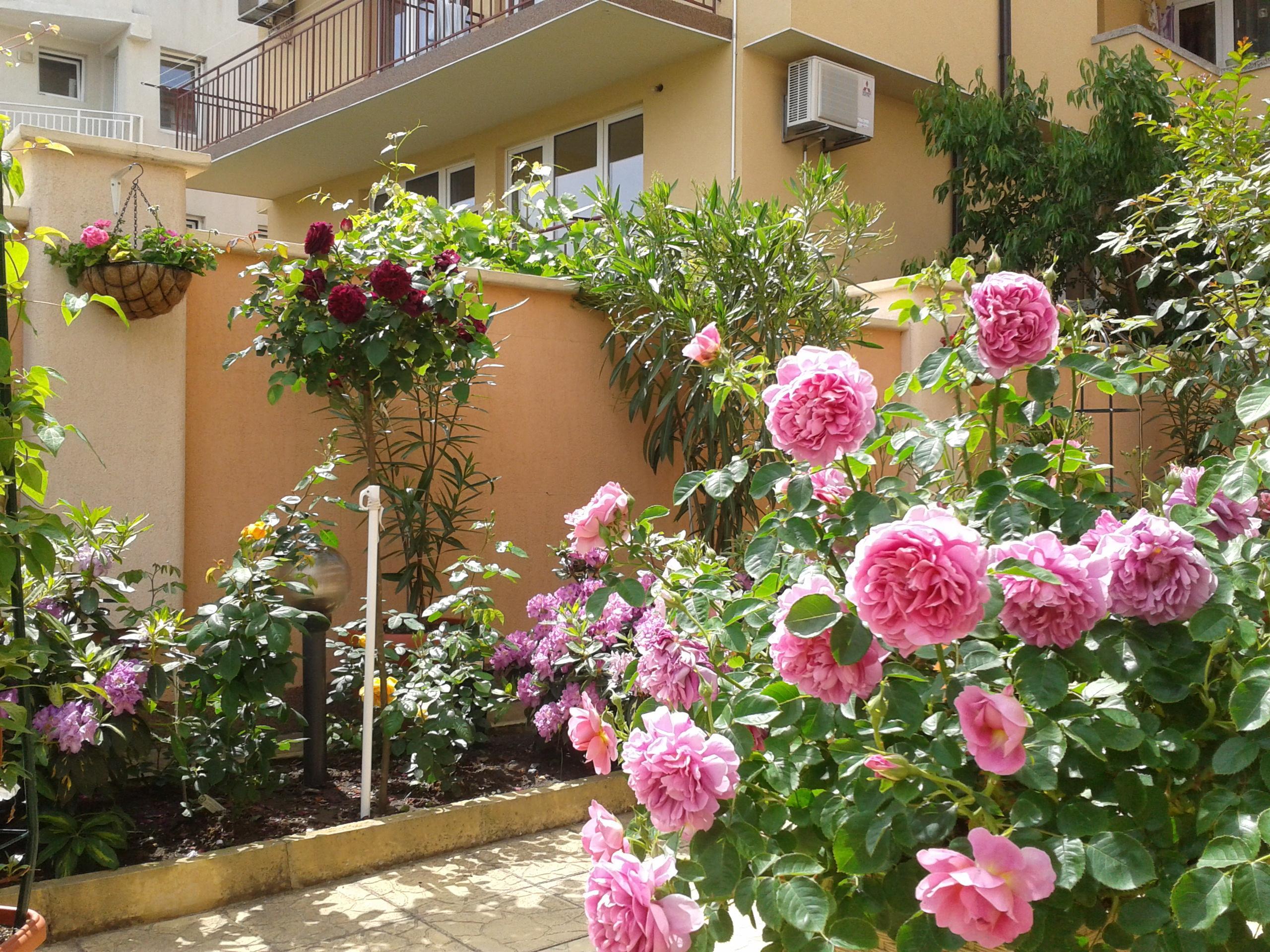 Hotel Chuchulev Σωζόπολη Εξωτερικό φωτογραφία
