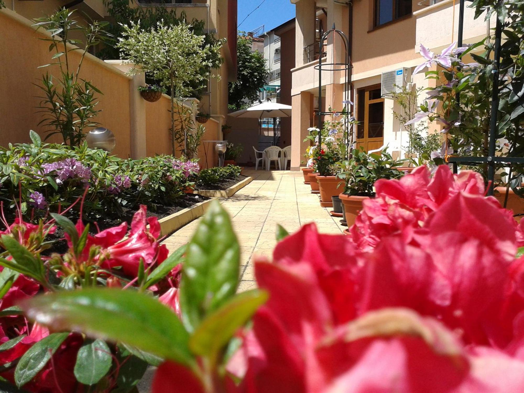 Hotel Chuchulev Σωζόπολη Εξωτερικό φωτογραφία