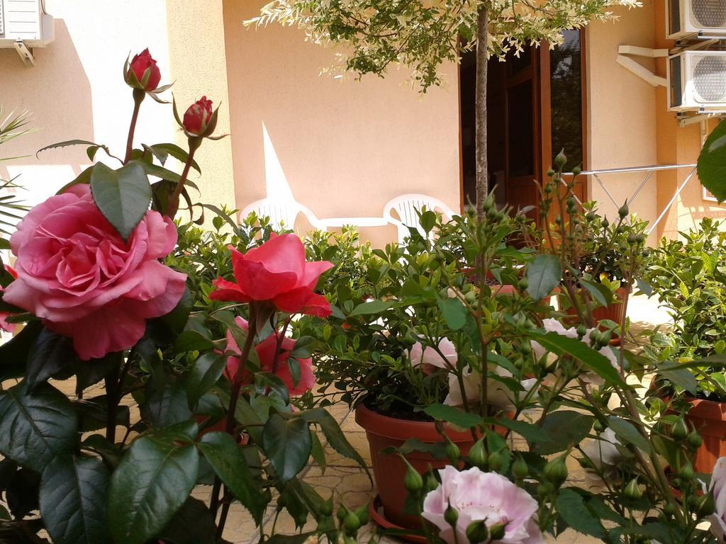 Hotel Chuchulev Σωζόπολη Εξωτερικό φωτογραφία
