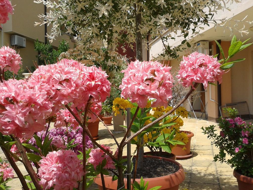 Hotel Chuchulev Σωζόπολη Εξωτερικό φωτογραφία